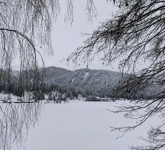 Residenz Von Swisspartments 公寓 *